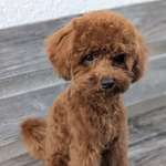 Ersteller:in Stephanie Profilbild