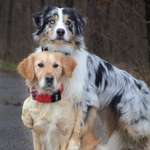 Ersteller:in Mara Profilbild