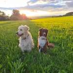 Ersteller:in Sara Profilbild