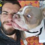 Ersteller:in Alp Profilbild