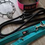 Hundezubehör in M/L-Beitrag-Bild
