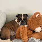 Ersteller:in Clara Profilbild