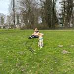 Ersteller:in Jemina Profilbild