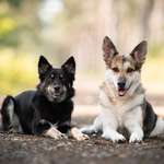 Ersteller:in Jenny Profilbild