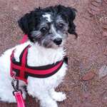 Ersteller:in Vanessa Profilbild