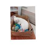 Ersteller:in Svenja Profilbild