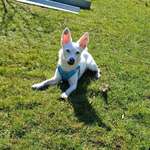 Ersteller:in Svenja Profilbild