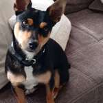 Ersteller:in Karola Profilbild