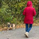 Ersteller:in Laura Profilbild