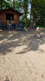 Hundeauslaufgebiet-Rheda-Bild