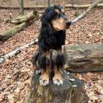 Ersteller:in Bonnie Profilbild