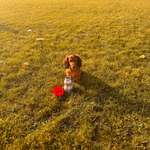 Ersteller:in Salome Profilbild