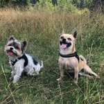 Ersteller:in Alexandra Profilbild