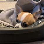 Ersteller:in Lizi Profilbild