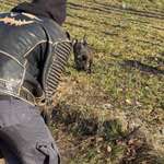 Ersteller:in Amy Profilbild