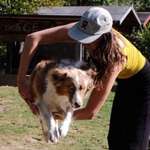 Ersteller:in Momo Profilbild