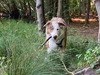 Urlaub Normandie-Beitrag-Bild