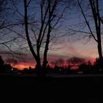 Ersteller:in Melli Profilbild