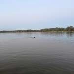 Hundestrand-Hundestrand am Tankumseees-Bild