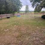 Hundeauslaufgebiet-Hundeauslauf Oerrel-Bild