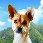 Ersteller:in Siiri Profilbild