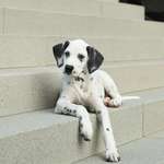 Ersteller:in Isabell Profilbild