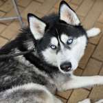 Ersteller:in Omar Profilbild