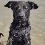 Ersteller:in Ani Profilbild