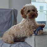 Ersteller:in Keshia Profilbild