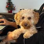 Ersteller:in Keshia Profilbild