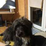 Ersteller:in Anja Profilbild