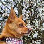 Ersteller:in Soso Profilbild