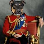 Ersteller:in Gerd Profilbild