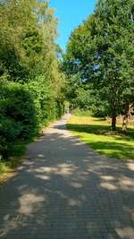 Hundeauslaufgebiet-Gassirunde-Bild