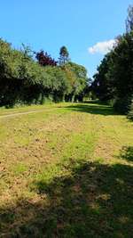 Hundeauslaufgebiet-Gassirunde-Bild