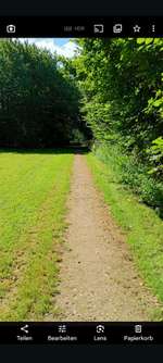 Hundeauslaufgebiet-Gassirunde-Bild