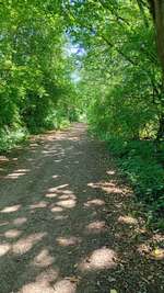 Hundeauslaufgebiet-Gassirunde-Bild