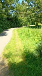 Hundeauslaufgebiet-Gassirunde-Bild