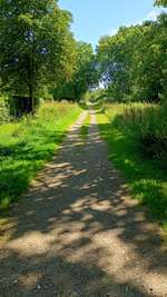 Hundeauslaufgebiet-Gassirunde-Bild