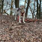 Ersteller:in Meike Profilbild