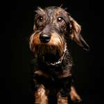 Ersteller:in Julia Profilbild