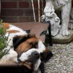 Ersteller:in Big Profilbild