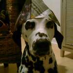 Ersteller:in Nadja Profilbild