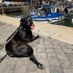 Ersteller:in Giulia Profilbild