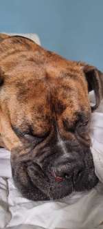 Was tun?-Beitrag-Bild