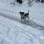 Ersteller:in Nadine Profilbild