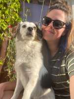 Suchmeldung-Meeko-Bild