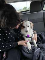 Suchmeldung-Meeko-Bild