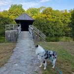 Hundeauslaufgebiet-Ockenauer Steg-Bild