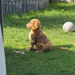 Ersteller:in Sylvia Profilbild